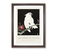 Cockatoo & Pomegranate By Ohara Koson Exhibition Museum Asian Japanese Framed Print | A4 Walnut Framed Wall Art | Ready to Hang | Asian Nature Picture | Living Room Bedroom Lounge Office