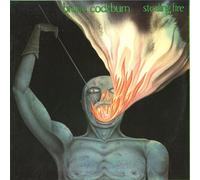 Cockburn, Bruce - Stealing Fire [Vinyl LP] [VINYL]