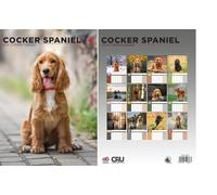 Cocker Spaniel 2026 Calendar - A3 Size 30 x 42 cm, 12 Months of Great Photography