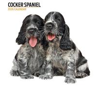 Cocker Spaniel Calendar - Modern
