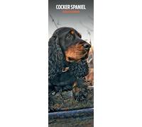 Cocker Spaniel 2026 Slim Calendar