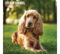 Cocker Spaniel Calendar - Traditional