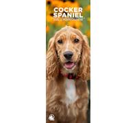 Cocker Spaniel 2026 Wall Calendar, 12-Month Slim Format, Made in England