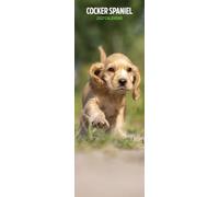 Cocker Spaniel 2027 Slim Calendar