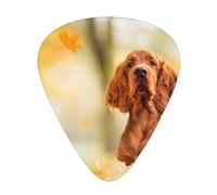 Cocker Spaniel Autumn Park Brown Spaniel Dogs,12 Pcs Guitar Pick,3 Different Thickness Plectrums for Acoustic Guitar Bass Ukulele (0.46mm 0.96mm 0.71mm)