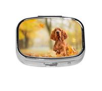 Cocker Spaniel Autumn Park Brown Spaniel Dogs,Meta Pill Box 2 Compartment Medicine Case,Portable Organizer,Rectangle Meta Portable Organizer Pill Box 1854 Compartment Medicine Case