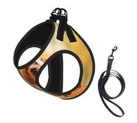 Cocker Spaniel Autumn Park Brown Spaniel Dogs,Pet Harness,Adjustable Reflective Dog Harness,Pet Leash Vest,S
