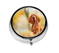 Cocker Spaniel Autumn Park Brown Spaniel DogsMeta Pill Box 3 Compartment Medicine Case,Portable Organizer