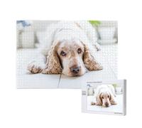 Cocker Spaniel Brown Spaniel Sad Dogs Dogs Pets,1000 Pieces Wooden Jigsaw Family Game Jigsaw Puzzles for Adults Teens Home Decor