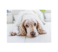 Cocker Spaniel Brown Spaniel Sad Dogs Dogs Pets,500 Pieces Puzzles for Adults-Wooden Jigsaw Puzzle for Adults Elderly