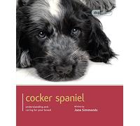 Cocker Spaniel: Cocker Spaniel - Dog Expert