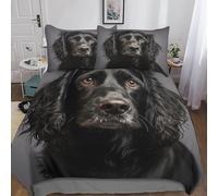 Cocker Spaniel Duvet Cover Bedding for Kids Teens Adult,Theme 3D Printed Hunting Dog Comforter Quilt Cover,Classical Record Decoration 3 Piece Bed Set with Pillowcases,Colorful Double（200x200cm）