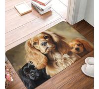 Cocker Spaniel Indoor Doormat Washable Welcome Mats Non Slip Entryway Floor Mat Floor Outdoor Indoor Rug for Home Entrance, Outside Entry, Yard 23.6 X 15.7 Inch