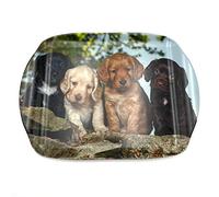 Cocker Spaniel puppies dog Medium Serving Tray. Gift for dog lovers.