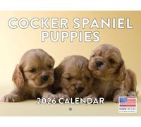 Cocker Spaniel Puppy Calendar 2026