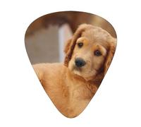 Cocker Spaniel Puppy Small Spaniel Dogs Pets,12 Pcs Guitar Pick,3 Different Thickness Plectrums for Acoustic Guitar Bass Ukulele (0.46mm 0.96mm 0.71mm)
