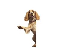 Cocker Spaniel Sticker Wall Art Decals Dog Peeking Around Corner Wall Sticker Vinyl Murals for Garage Restaurant Cafe Hotel Home Decor 28in
