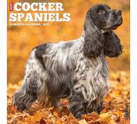 Cocker Spaniels 2025 Wall