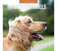 Cocker Spaniels - 2026 Square Wall Calendar - by Red Robin Publishing
