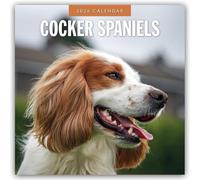Cocker Spaniels 2026 Square Wall Calendar: Original Red Robin Publishing Ltd-Kalender [Mehrsprachig] [Kalender]