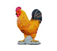 Cockerel