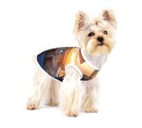 Cockpit of an Airplane Cotton Dog Shirt - Soft Breathable Dog Shirt for Dogs Cats Boy Girl Pet Tshirt,Suitable for Small Pets