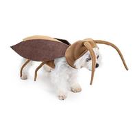 Cockroach Costume for Cats - Roach Wings and Antenna for Cats - Realistic Breathable Clothing Accessories for Cosplay Outfit Kitten Dog Holidays Parties Home