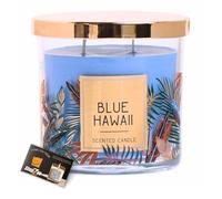 Cocktail Scented Wickford & Co Glass Jar Candle, Dual Wick, 350g - Long-Lasting, Ideal for Home & Gift, Includes ShopZee Candle Safety Tips Guide (Blue Hawaii)