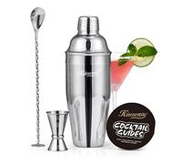 Cocktail Shaker, KITESSENSU 25oz/750ml Cocktail Making Kit with Bartender Strainer, Measuring Jigger, Bar Mixing Spoon, Cocktail Recipe Guide, Professional Drink Mixer Set for Beginners, Silver