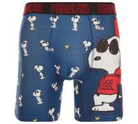 COCO BRANDS Mens Boxer Briefs - Peanuts Snoopy Soft Stretch Cotton Lined Crotch No Fly Underwear Boxers for Men (Sizes: S-XL), Joe Cool Chilling on Dog House, L