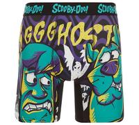 COCO BRANDS Scooby-Doo Mens Boxer Briefs - 1Pack/3Pack No Fly Anti-Chafing Cotton Lined Support Boxers for Men (Sizes: S-XL), Scooby Ghost, L