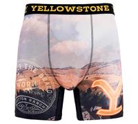 COCO BRANDS Yellowstone Men's Boxer Briefs - No Fly, Anti-Chafing Stitching, Comfort Shaped/Cotton Lined Crotch, Multi/Yellowstone Landscape, M