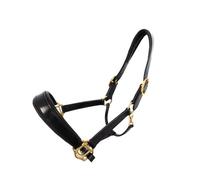 Coco Equestrian Black Adjustable Premium Leather Padded Headcollar Halter - Cob
