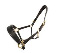 Coco Equestrian Brown Adjustable Premium Leather Padded Headcollar Halter - Cob