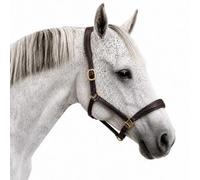 Coco Equestrian Brown Adjustable Premium Leather Padded Headcollar Halter - Full