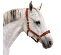 Coco Equestrian Cognac Brown Adjustable Leather Padded Comfort Headcollar Halter - Pony