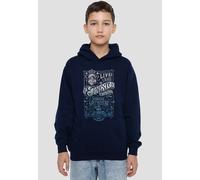 Coco Ernesto De La Cruz Sunrise Spectacular Poster Youth Kids Pull-Over Hoodie, Navy Disney Navy 7-8 Years