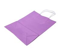 Cocoarm 25 PCS Kraft Paper Bags with Handle 16 X 21.8 X 8cm Large Capacity Party Favor Bags for Shopping Gifts Outings (Purple)