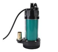 Cocoarm 300W Submersible Pump Stainless Steel Electric Water Pump with Copper Motor 22m Lift 4m3 per H 1in Outlet for Farm Pond Household Water Transfer (DC24V)