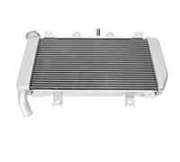 Cocoarm Cooling Water Tank Assembly Aluminum Radiator Cooling Water Tank Fast Replacement for Ninja 400 2018 2021 for Riders Reducing Engine Wear