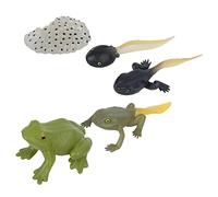 Cocoarm Cycle Toy Animal Figures Set 5PCS Simulation Miniature Frogs with Detailed Stages for Kids Learning Education Home Decor