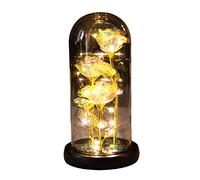 Cocoarm LED Rose in Glass Eternal Blooming Flower with LED Light for Romantic Gifts Valentine’s Day Wedding Home Decor (1)