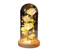 Cocoarm LED Rose in Glass Eternal Blooming Flower with LED Light for Romantic Gifts Valentine’s Day Wedding Home Decor (3)