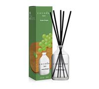 [COCODOR/Green Grape] Basic Reed diffusers Oil with a Set of 5 Fiber Sticks, 100ml, Best for Home, Kitchen, Bathroom. Diffusers with sticks.