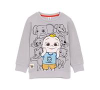 CoComelon Kids Sweatshirt for Babies and Toddlers, Character Jumper, Grey Pullover Top for Children