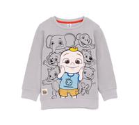 CoComelon Sweatshirt For Kids | Babies Toddlers Ello Pepe Boba Kiki Animal Characters Sweater | Nursery Rythme Education Sing Songs Jumper 3-4 Years Grey