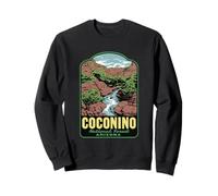 Coconino National Forest Arizona Retro Sweatshirt