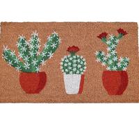 COCONIQ Coir Door Mats 43x76 cm, Non-Slip Sturdy, PVC Backed Heavy Duty, Easy to Clean, Ideal for Door Entrance, Patio, Porch, Backyard, Garages, Sparkling Cactus