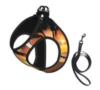 Coconut Beach Sunset Hammock Print Pet Vest Harnesses Leash Set Reflective Puppy Vest Dogs Walking Training Dog Harness