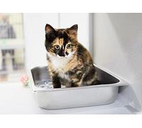 Coconut Coir Cat Litter - 16 x Litres in Convenient Paper Bag (16 Litres) - Premium Quality Cat Litter